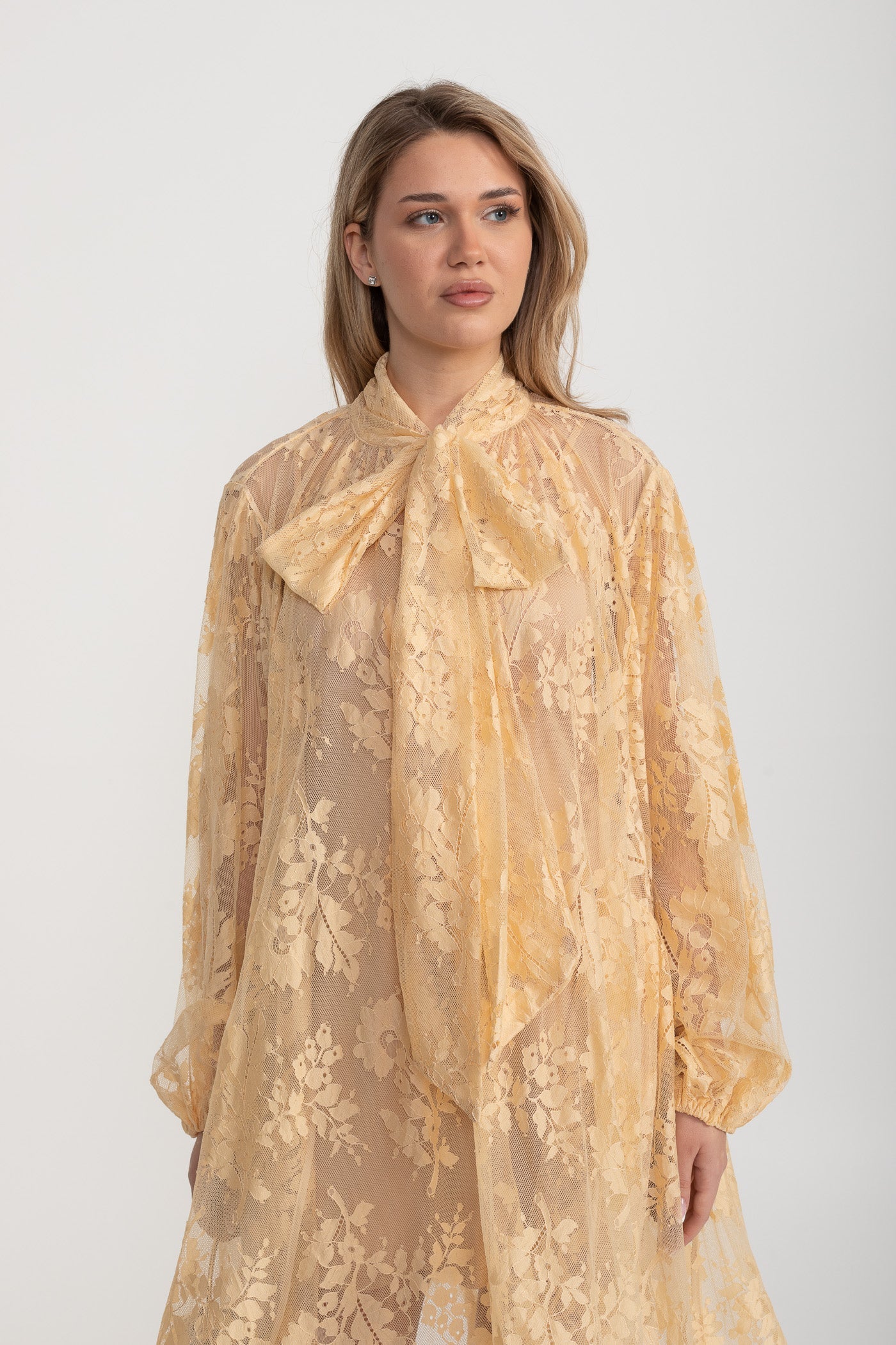 Bella A Kesim Dantel Elbise Fiyonk Yakalı