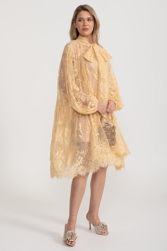 Bella A Kesim Dantel Elbise Fiyonk Yakalı