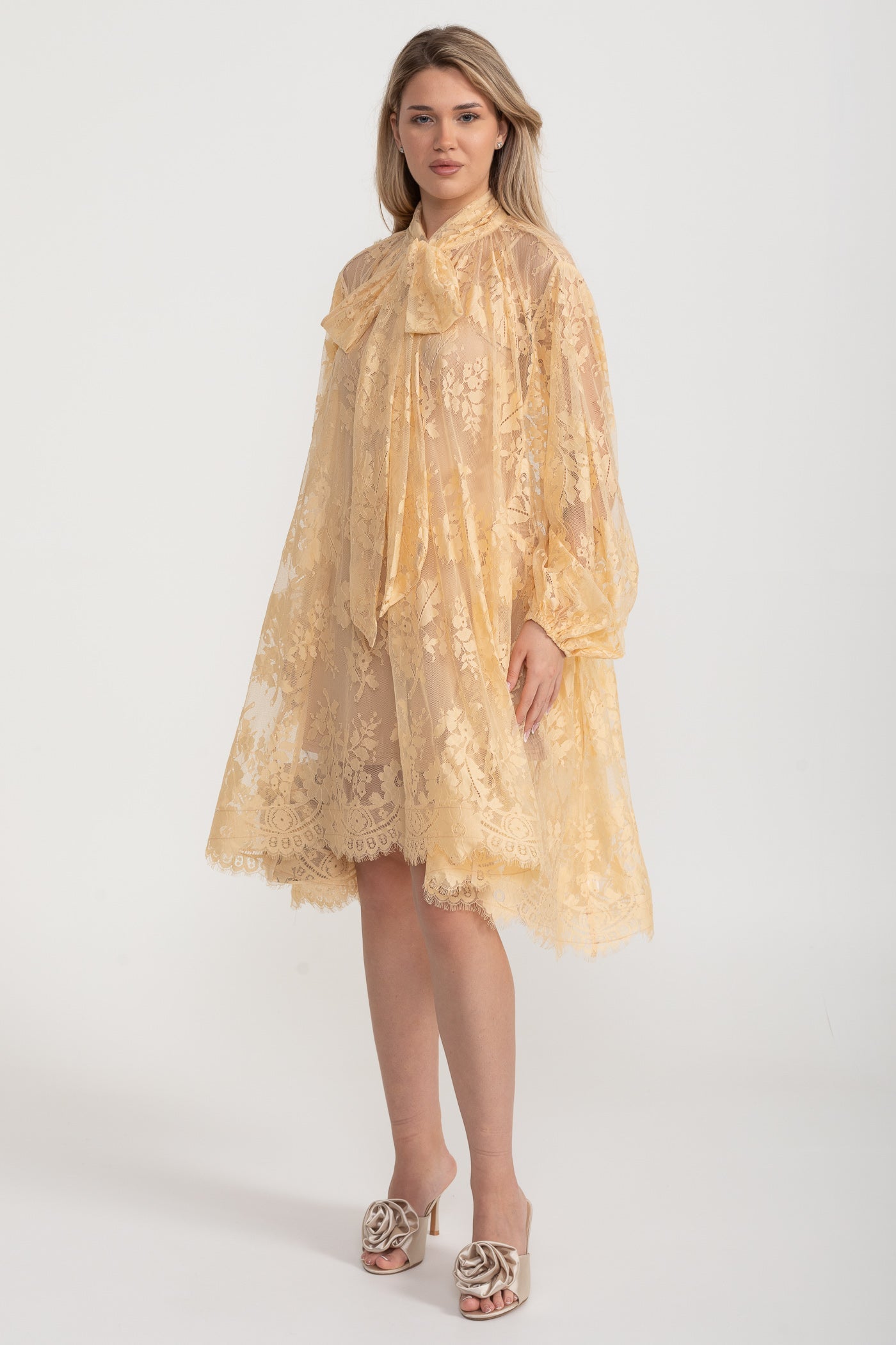 Bella A Kesim Dantel Elbise Fiyonk Yakalı